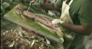 Pintura Mediúmnica
